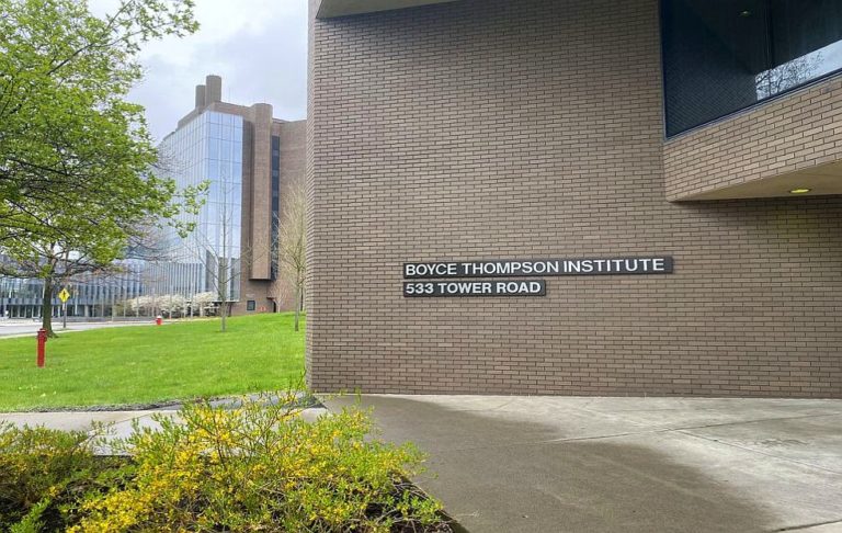 PhD student visits Cornell