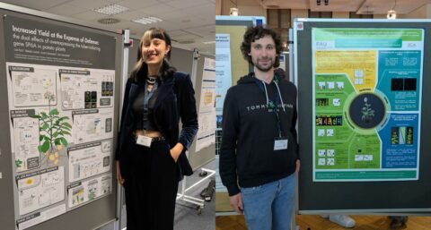 Zum Artikel "Konferenz „Molecular Biology of Plants“ in Hennef"