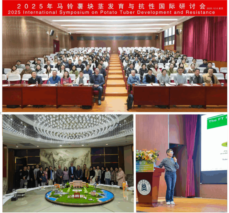 International Symposium on Potato Tuber Development and Resistance in Wuhan, China