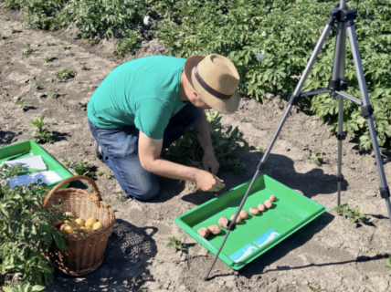 Symbolbild zum Artikel. Der Link öffnet das Bild in einer großen Anzeige.